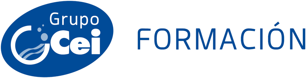 Grupo Cei Formación